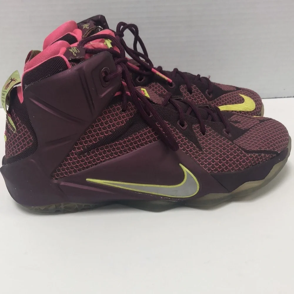 Nike LeBron James sneakers